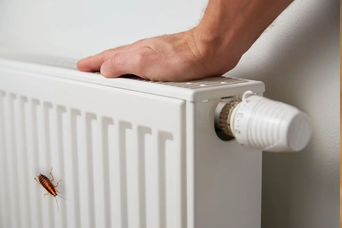 calefacción y plagas en el hogar