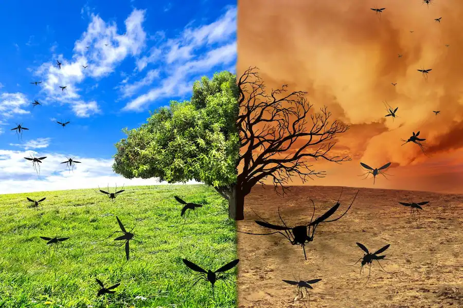 cambio climático efecto en las plagas