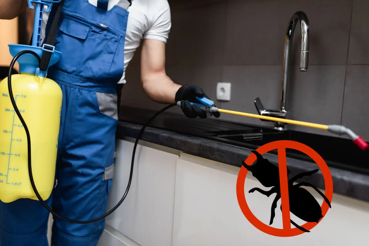 estrategias control de plagas y vectores