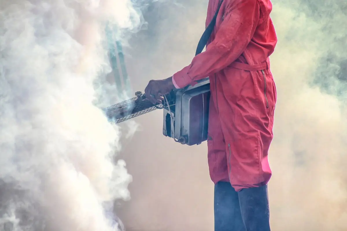 fumigación por termonebulización